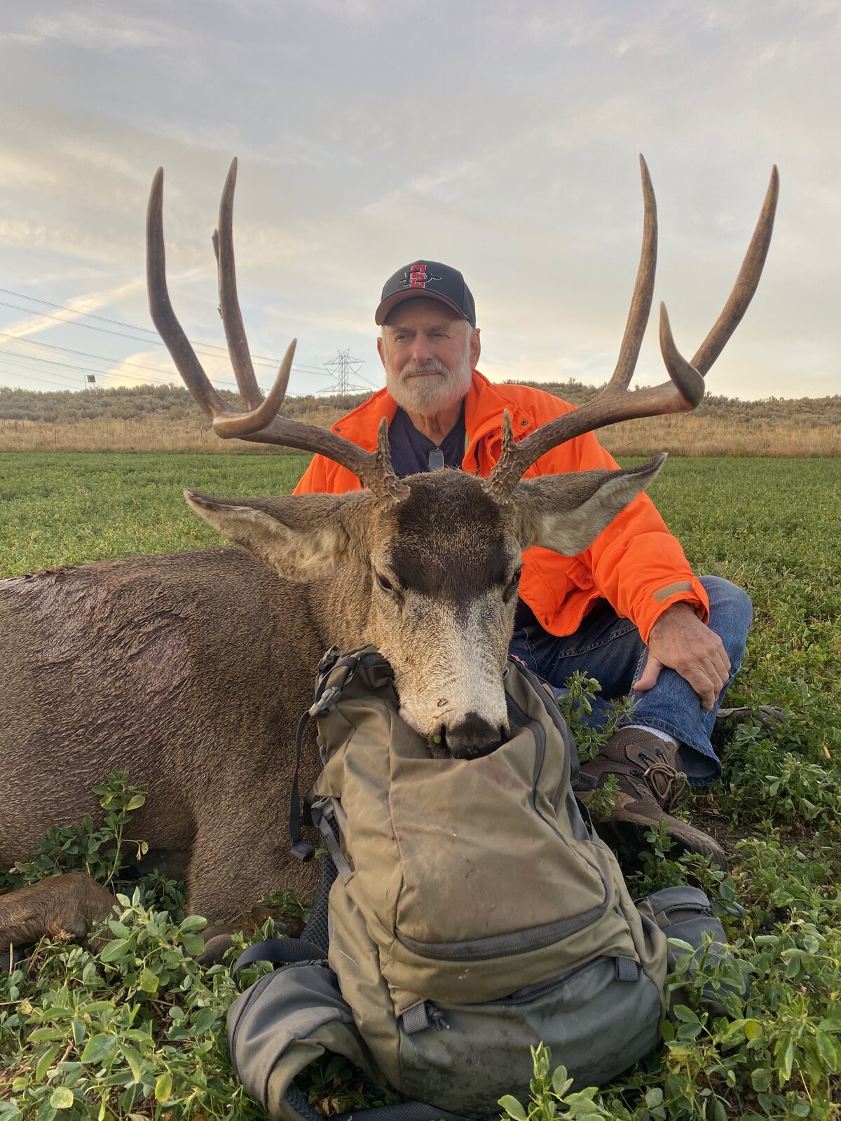 HRO Trophy Mule Deer — Columbia River Breaks