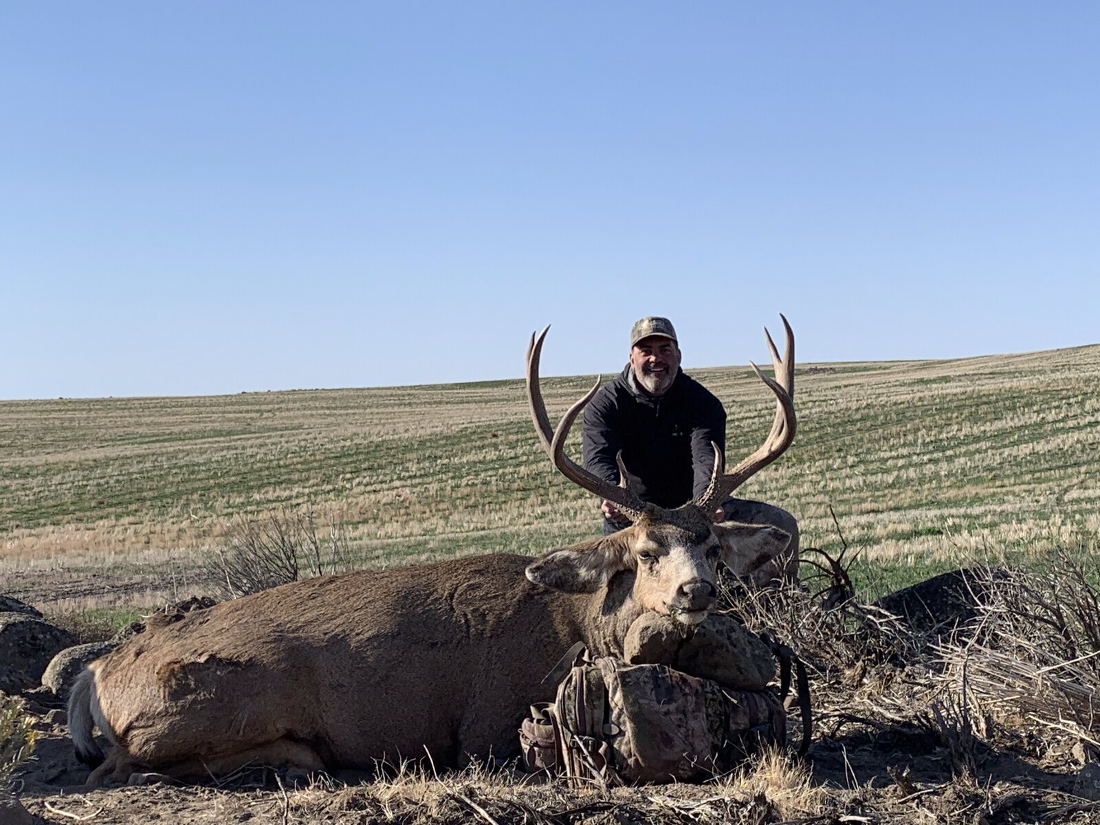HRO Trophy Buck — Columbia River Breaks