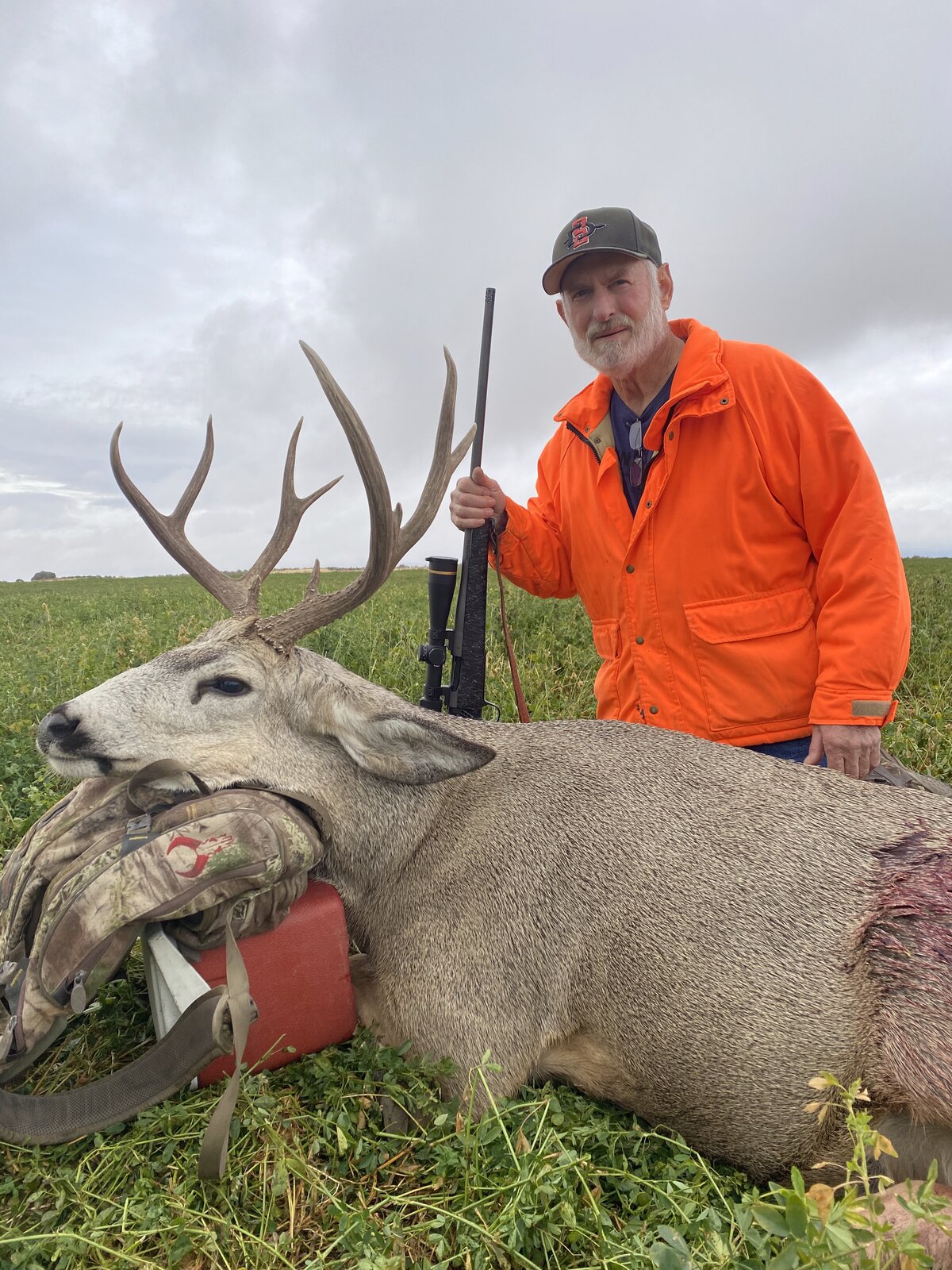 Trophy Mule Deer — Columbia River Breaks