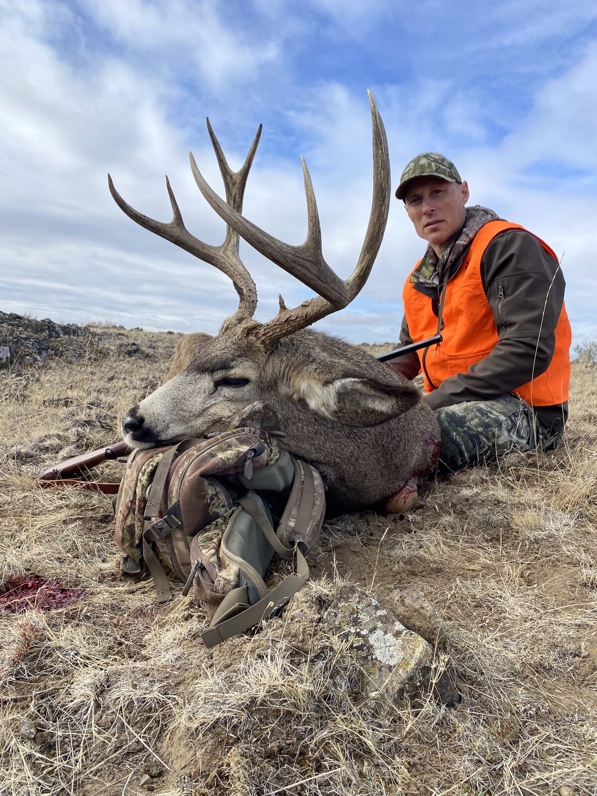 HRO Trophy Mule Deer