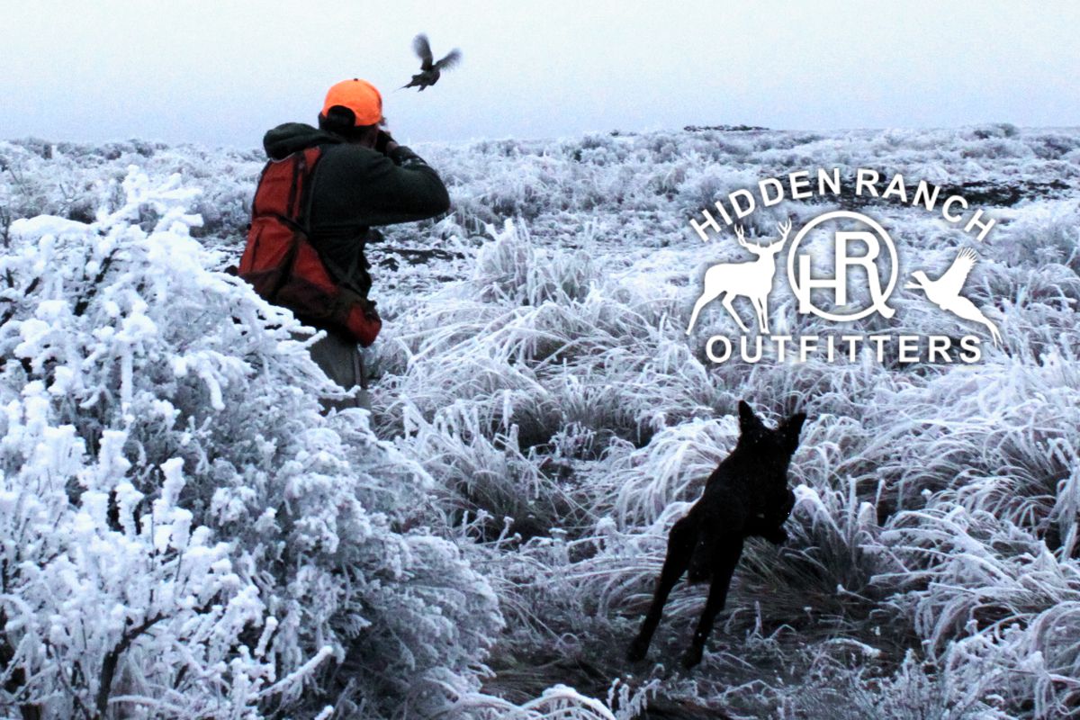HRO Shooting Preserve pheasant hunting